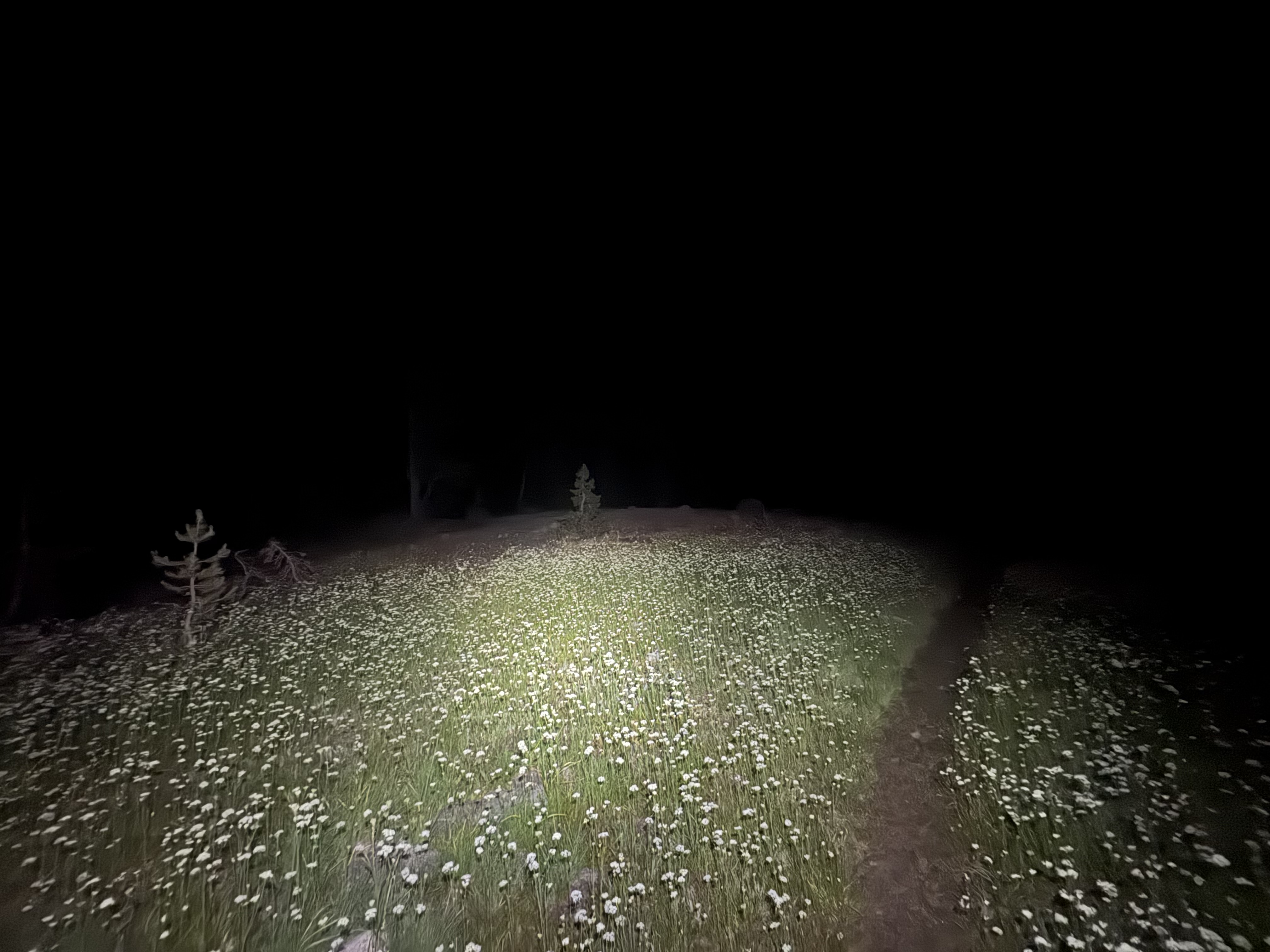 Hiking in the dark through Piute Pass