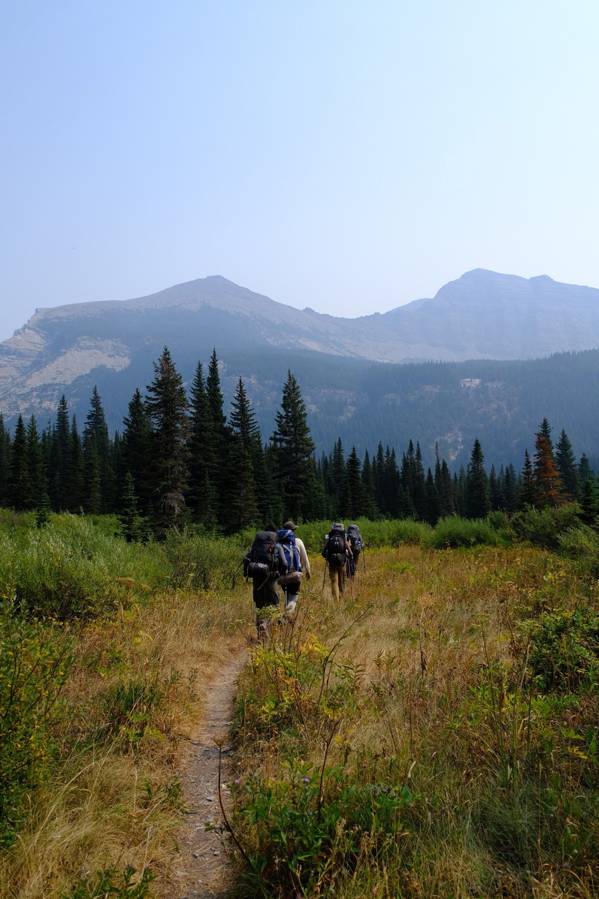 Hikers walking away through a tall meadow toward layered peaks