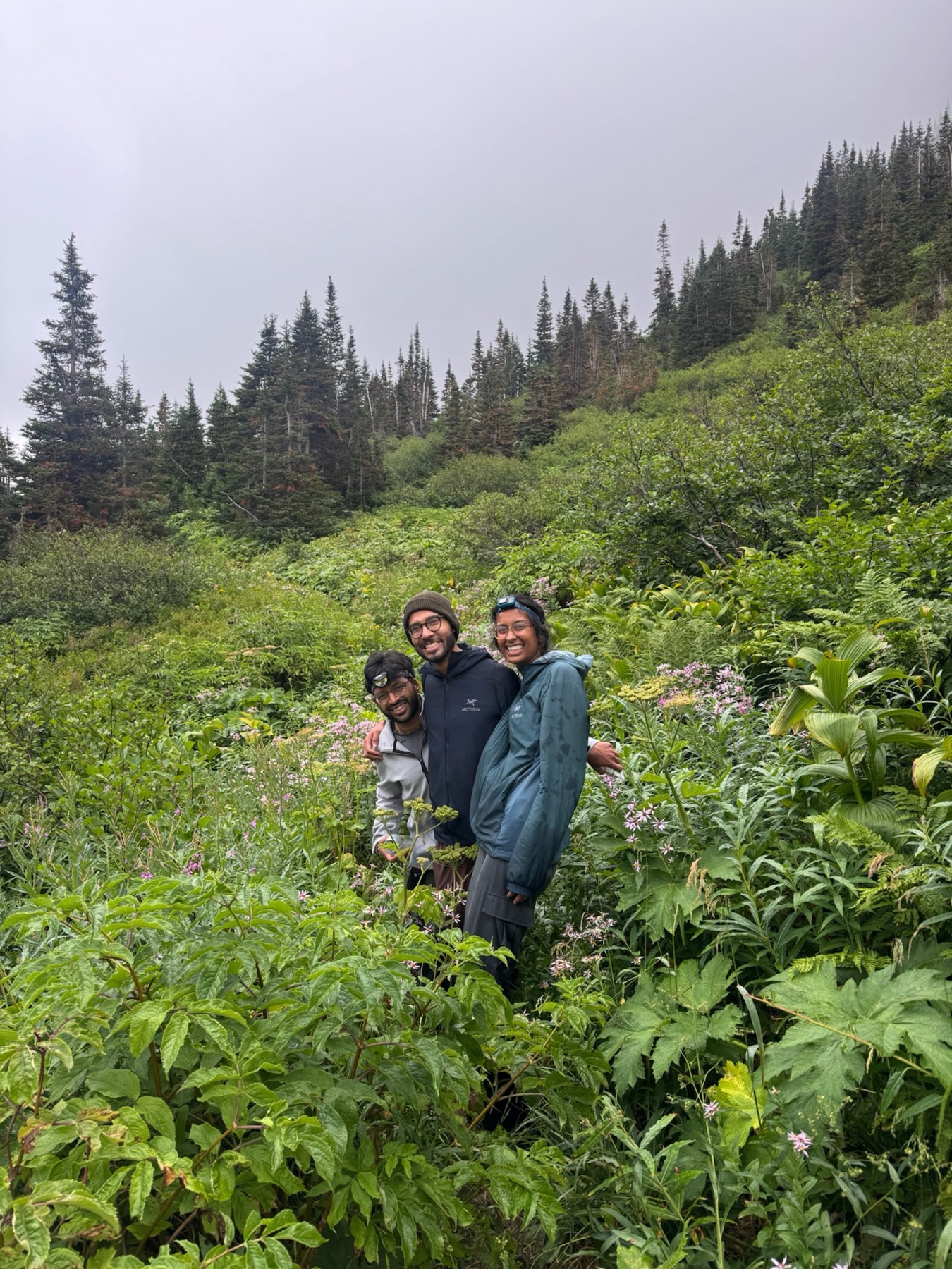 The group in the early morning after turning around