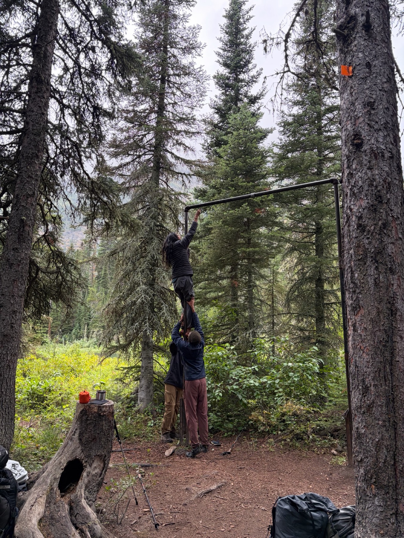 MN climbing the bear pole to unhook the rope