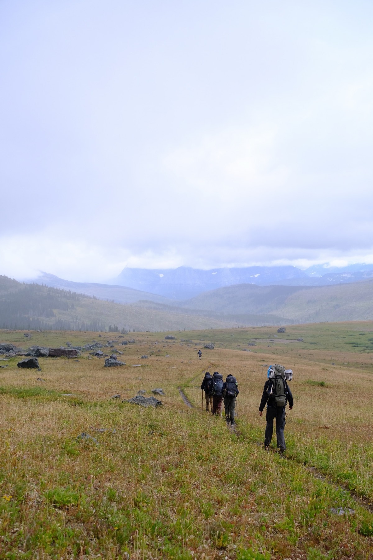 Terrain that looked like a mental model of New Zealand