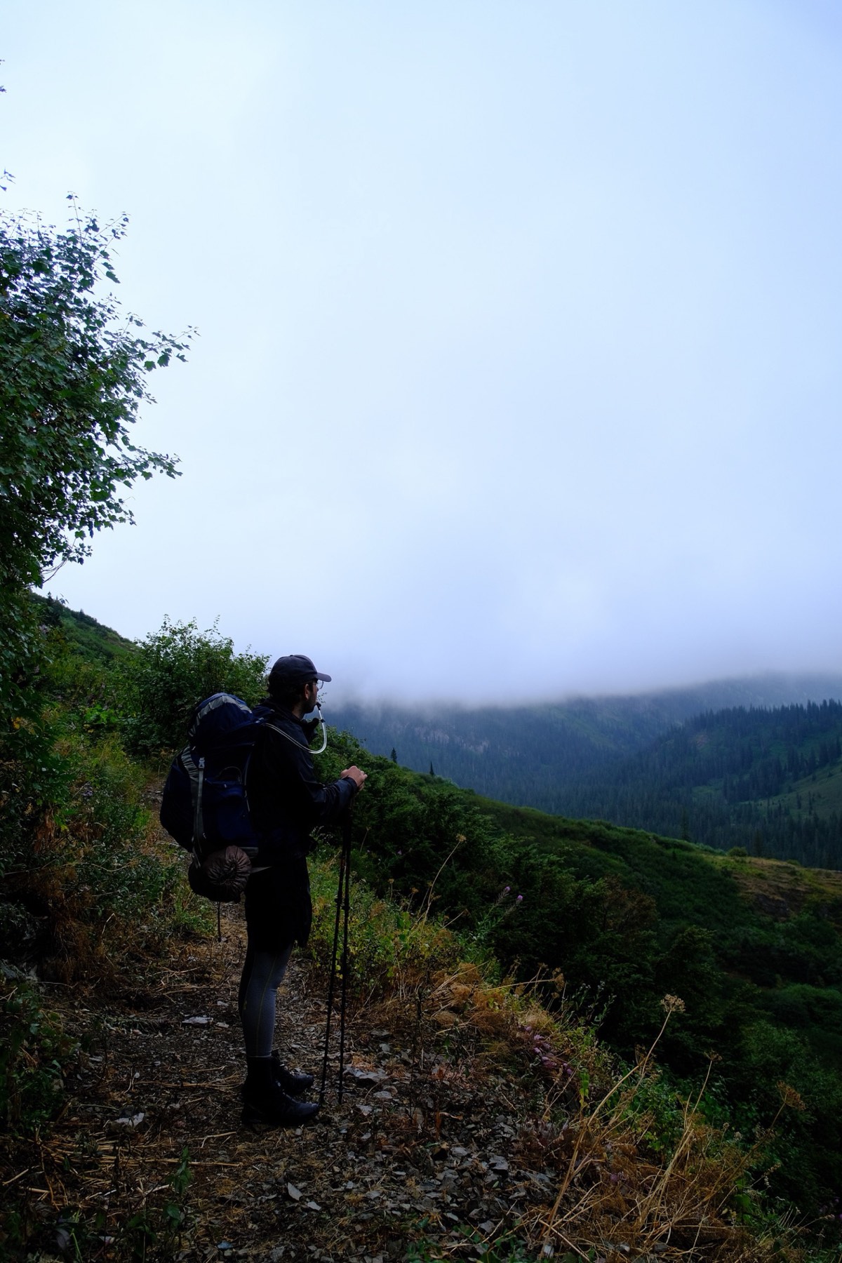 RW setting a brisk pace through overgrown trail
