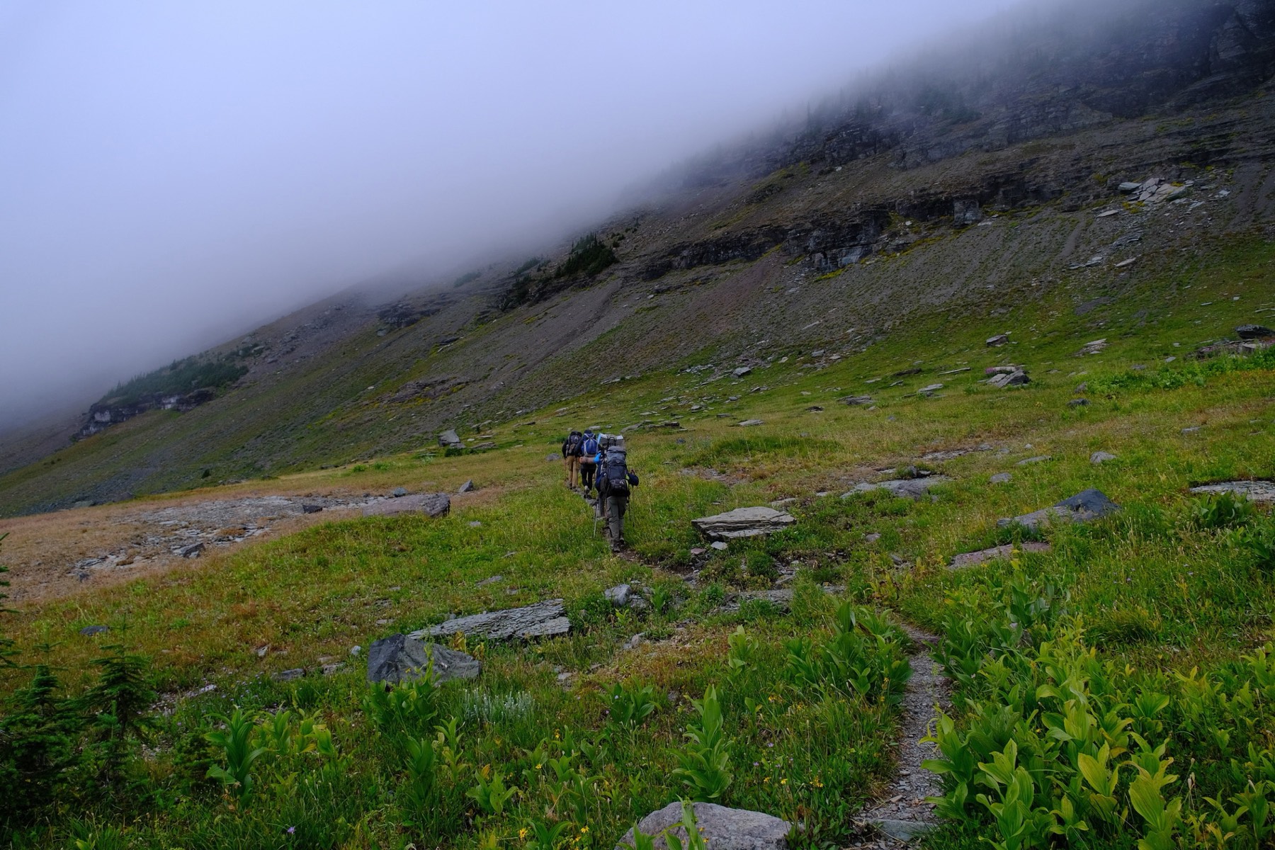 The trail disappearing into the clouds