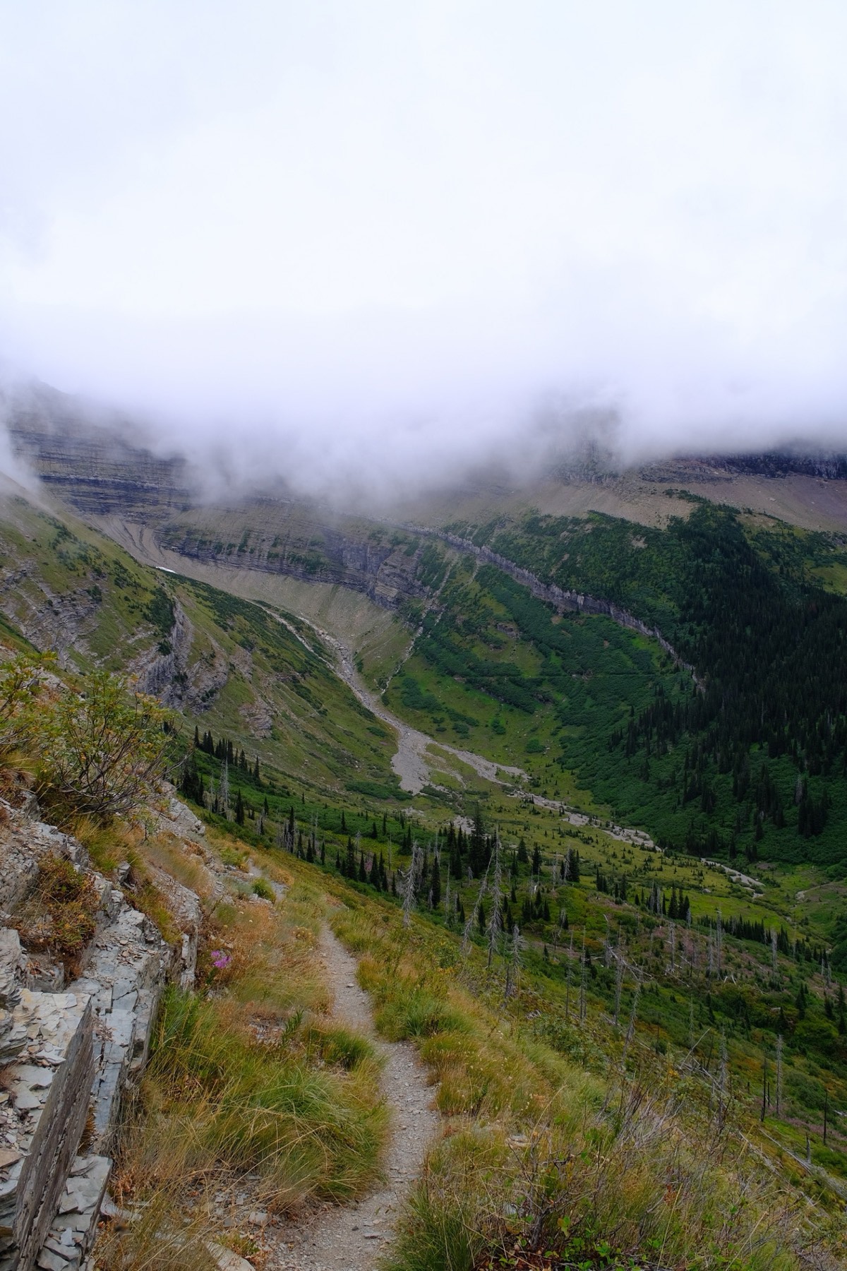 The trail traversing a green slope under low cloud