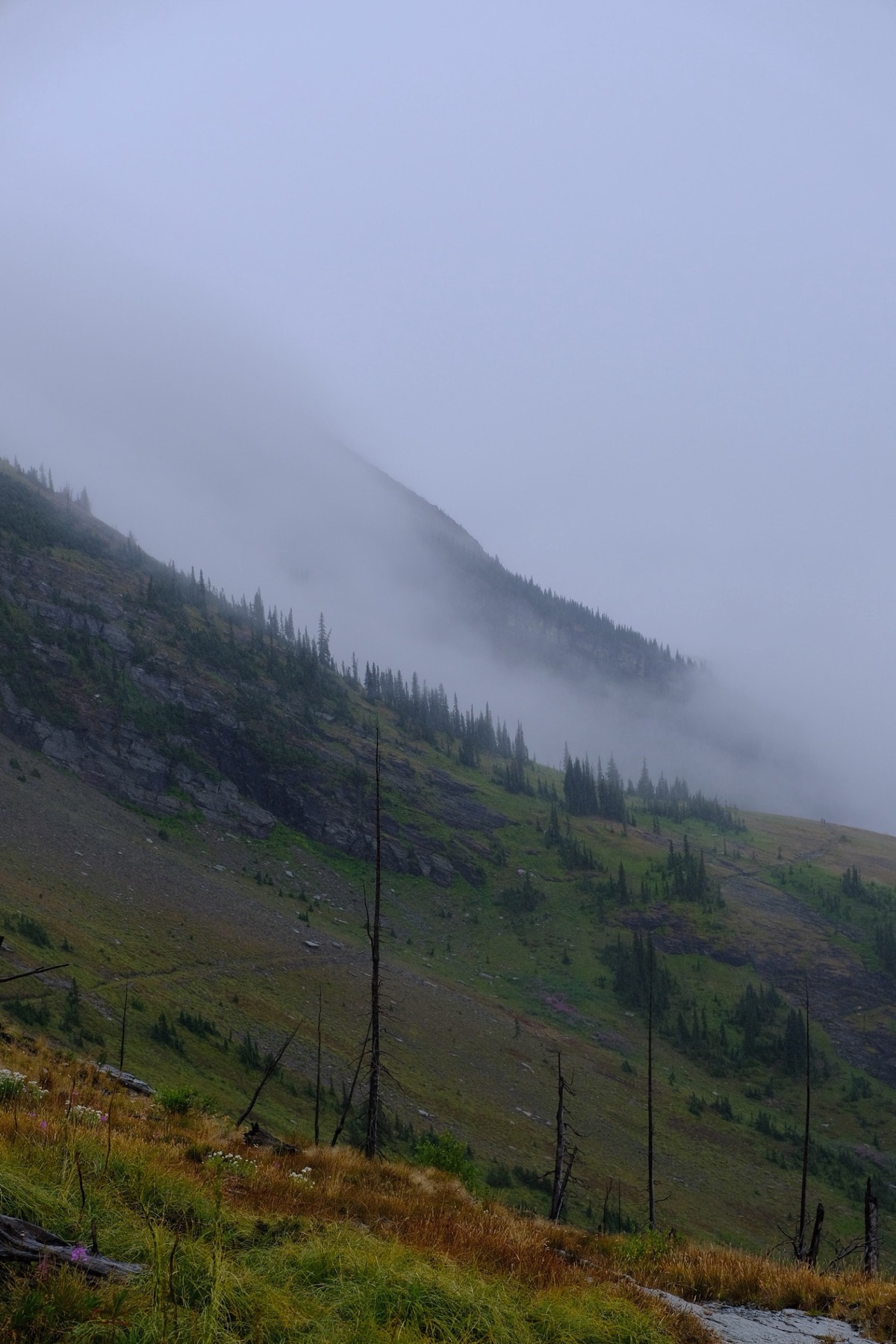 Cloud spilling over a burned hillside