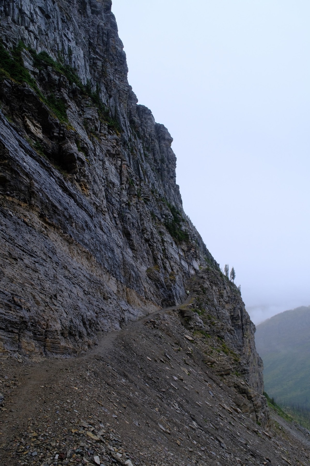 Trail cut into a cliff face in the fog