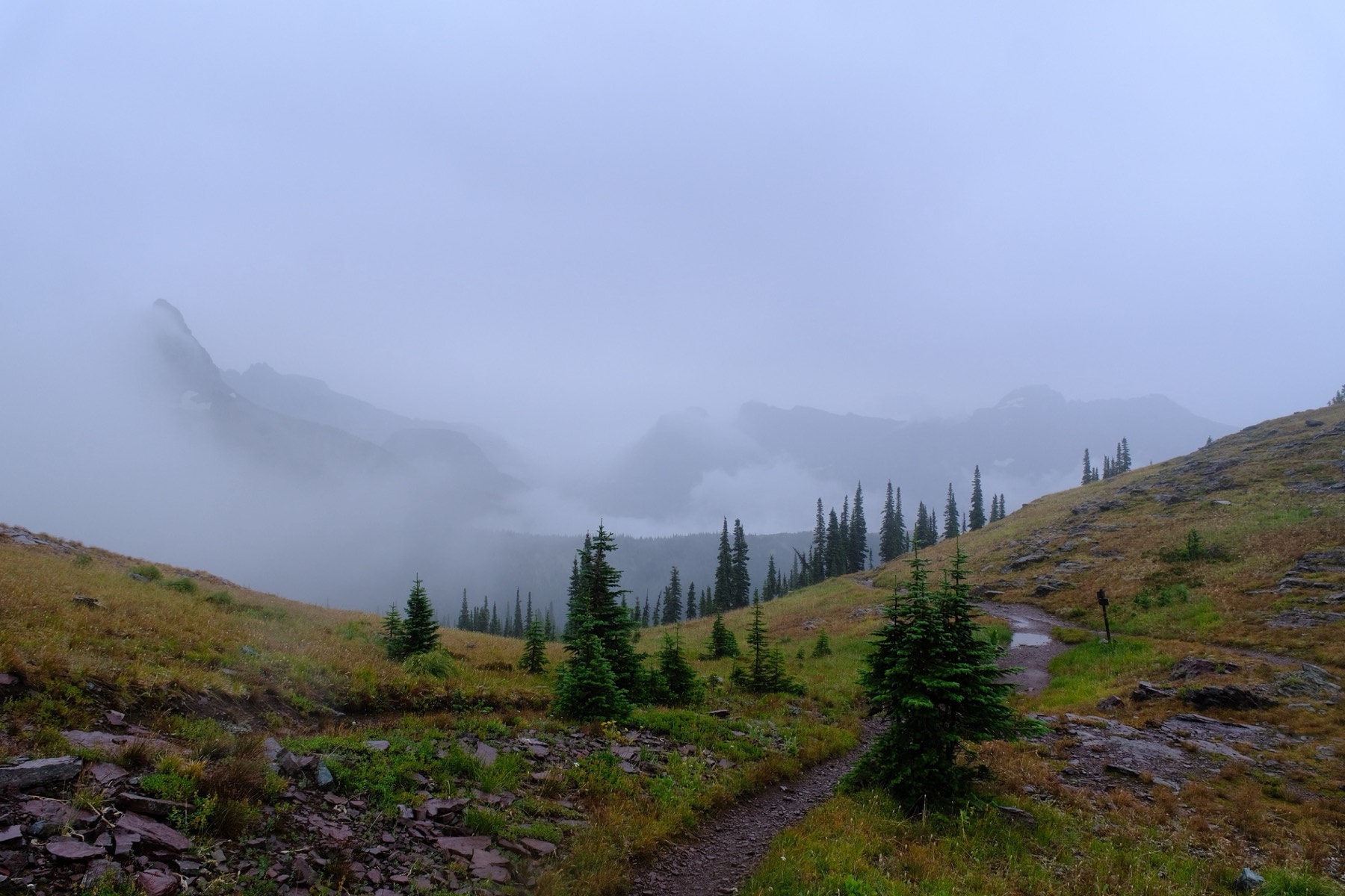 Peaks emerging from fog above a meadow