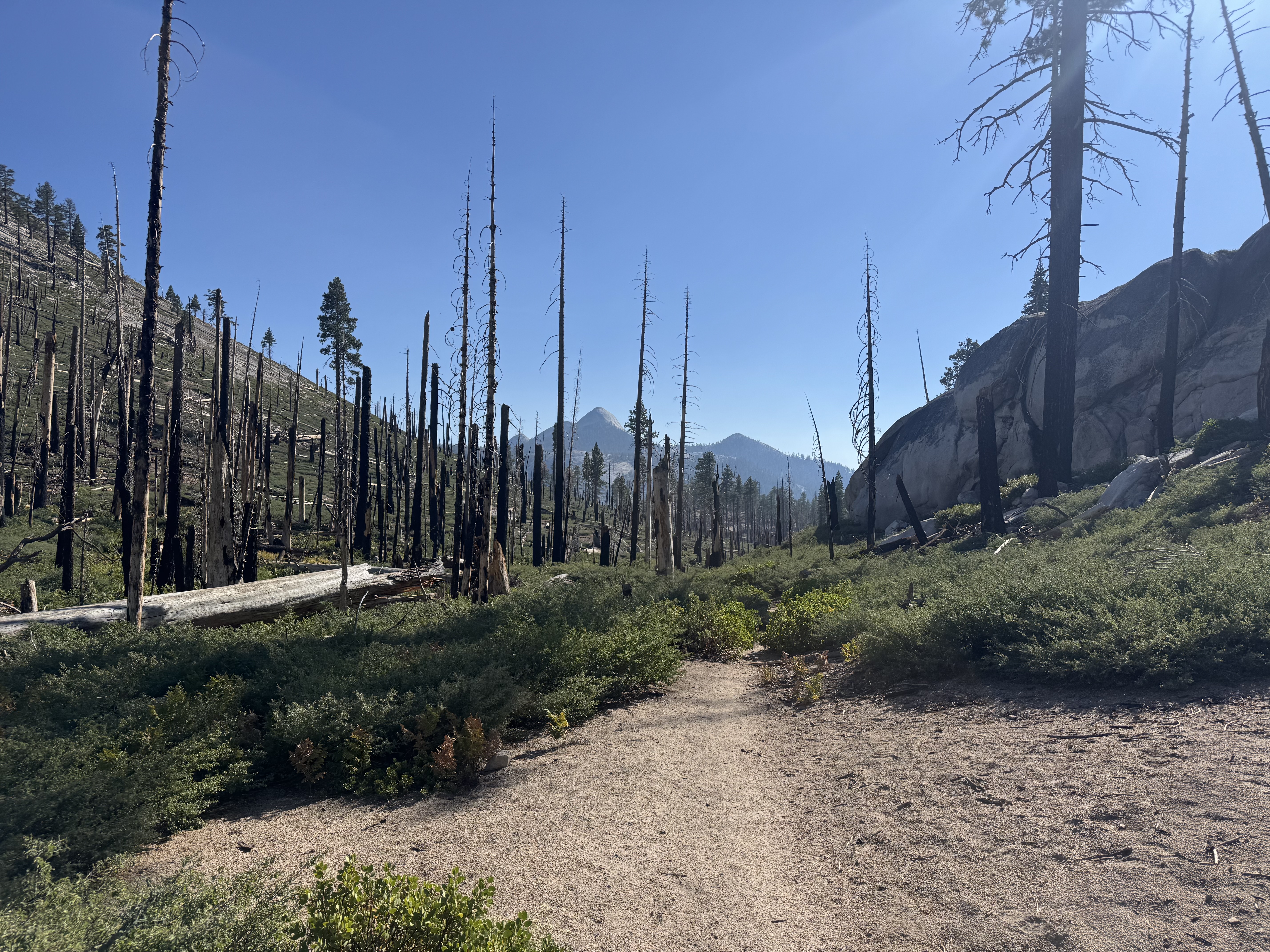 Trail view near Cloud's Rest